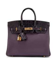 Hèrmes Raisin Togo Matte Alligator Birkin